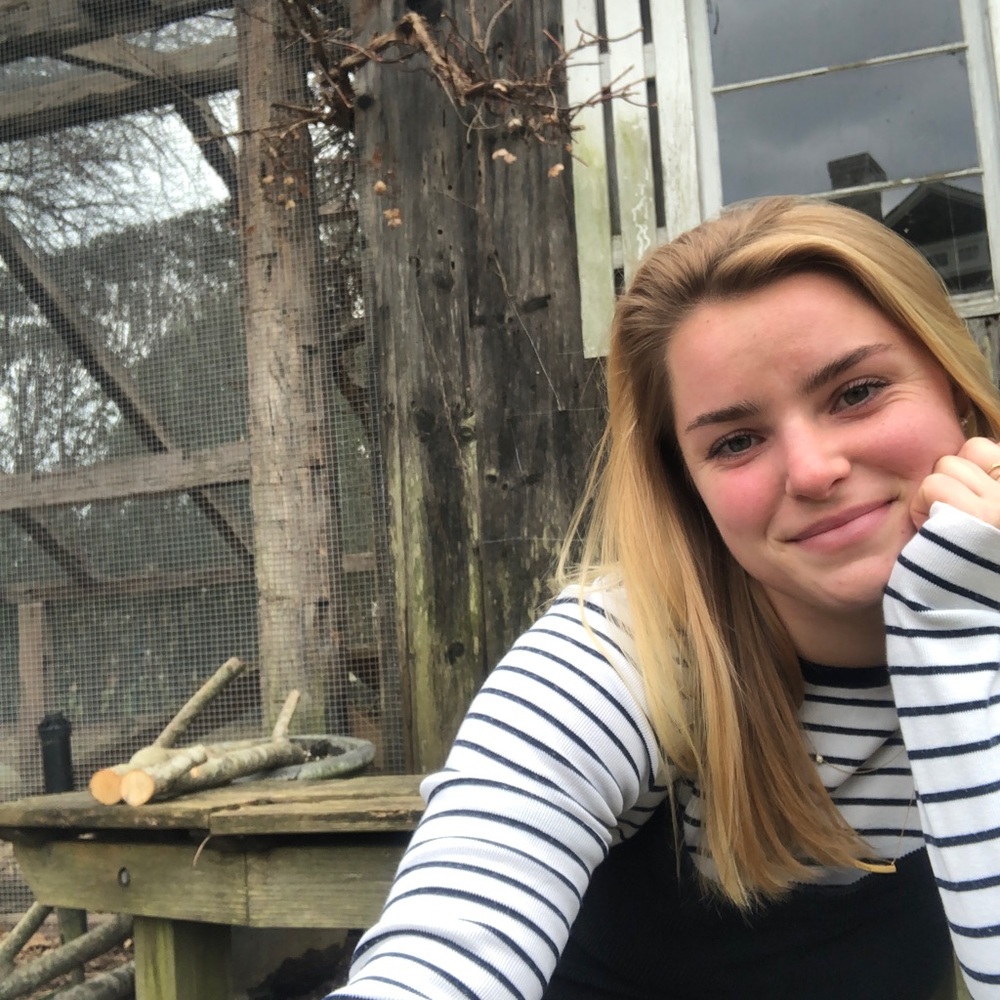 Meet your Posher, Delaney